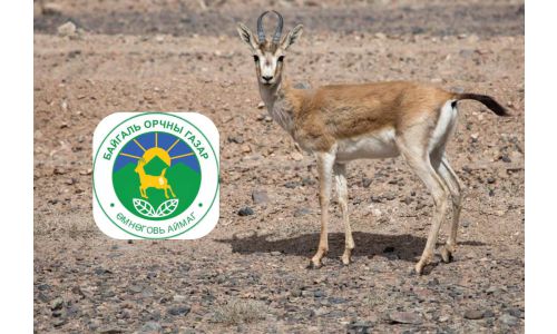 Өмнөговь аймаг хар сүүлт зээрийг бэлгэдлээ болгожээ