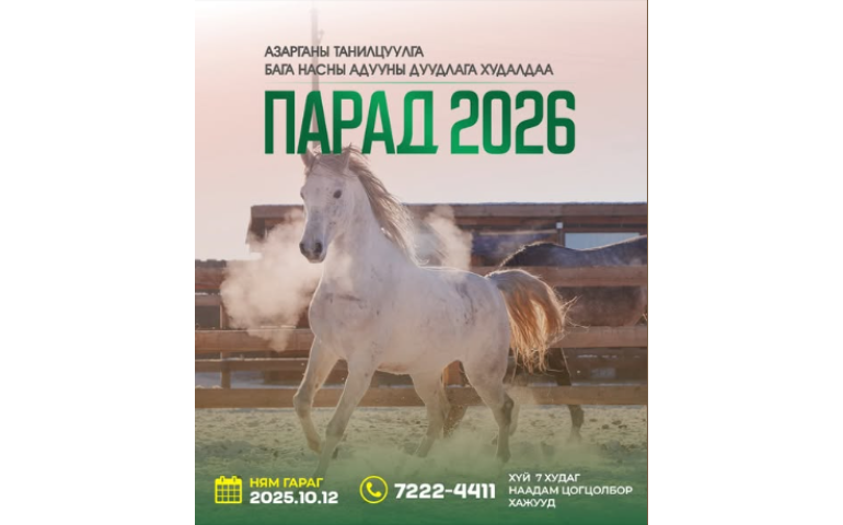 Англи, араб азарганд гүүгээ хураалгавал 20 сая төгрөгийн үнэтэй байна